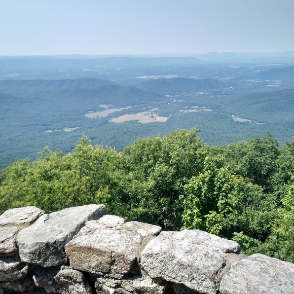 Meet your Posher, Christopher - Picture 1 of 1